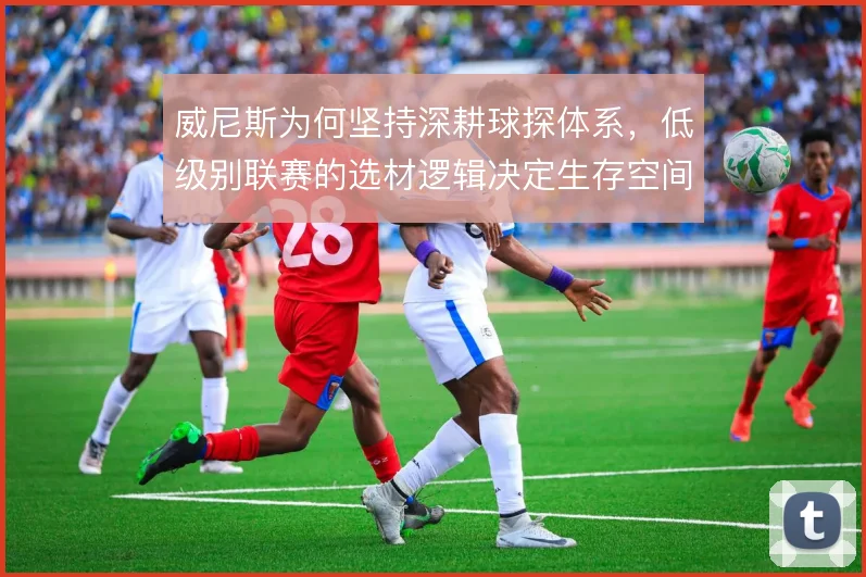威尼斯为何坚持深耕球探体系，低级别联赛的选材逻辑决定生存空间