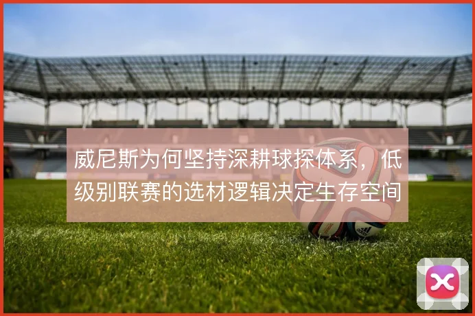威尼斯为何坚持深耕球探体系，低级别联赛的选材逻辑决定生存空间