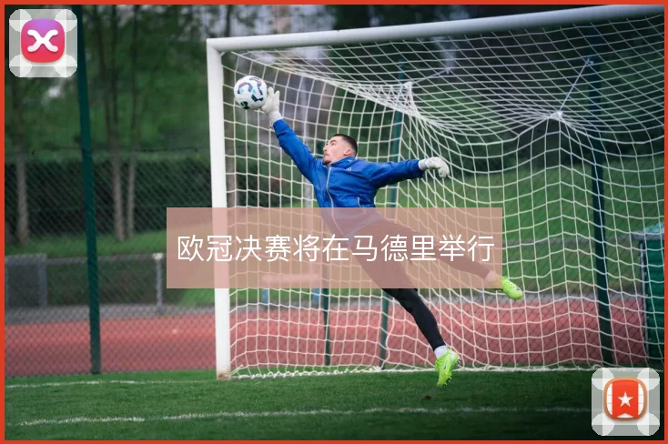 欧冠决赛将在马德里举行